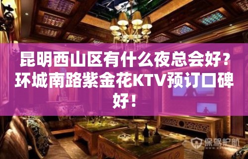 昆明西山区有什么夜总会好？环城南路紫金花KTV预订口碑好！