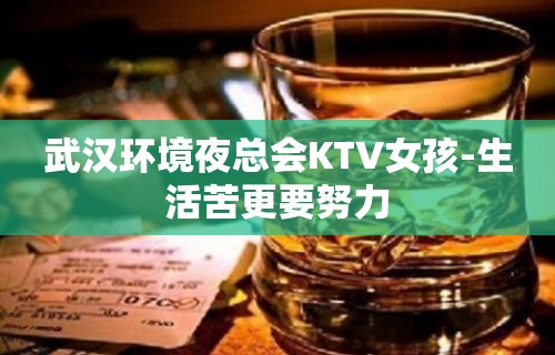 武汉环境夜总会KTV女孩-生活苦更要努力