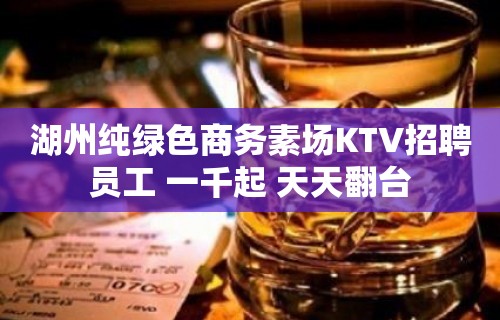 湖州纯绿色商务素场KTV招聘员工 一千起 天天翻台