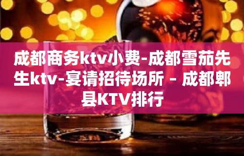 成都商务ktv小费-成都雪茄先生ktv-宴请招待场所 – 成都郫县KTV排行