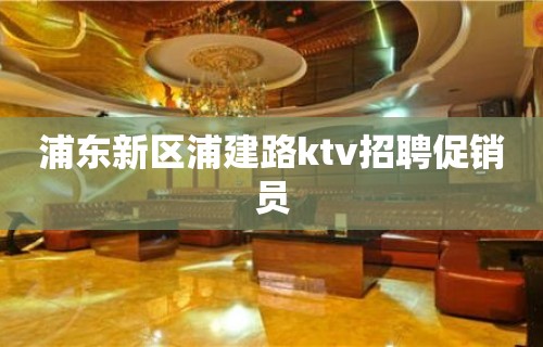 浦东新区浦建路ktv招聘促销员