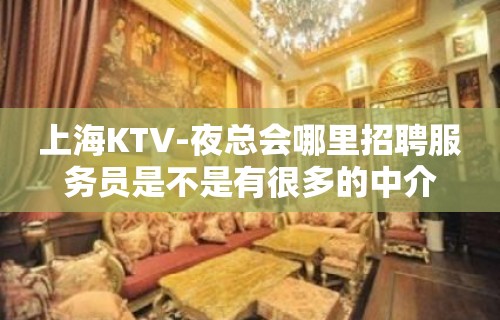 上海KTV-夜总会哪里招聘服务员是不是有很多的中介