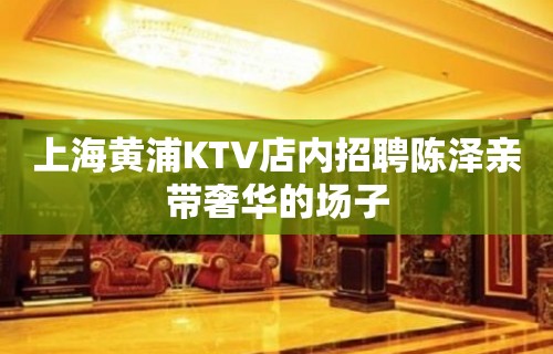 上海黄浦KTV店内招聘陈泽亲带奢华的场子