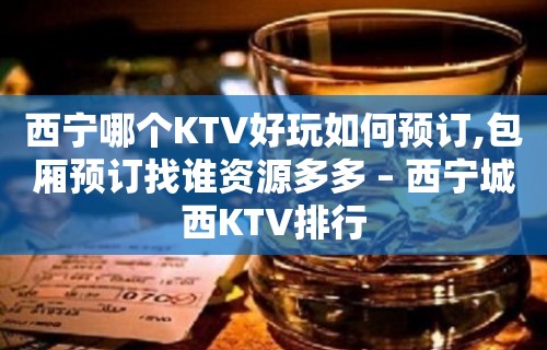 西宁哪个KTV好玩如何预订,包厢预订找谁资源多多 – 西宁城西KTV排行