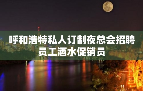 呼和浩特私人订制夜总会招聘员工酒水促销员