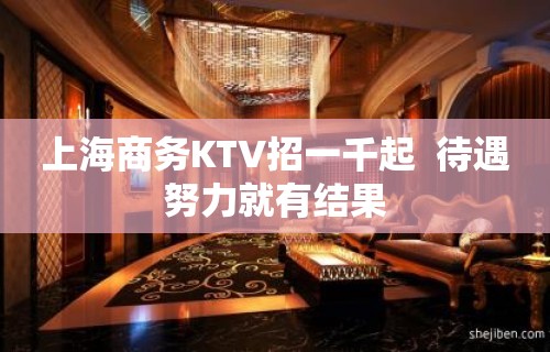 上海商务KTV招一千起  待遇努力就有结果