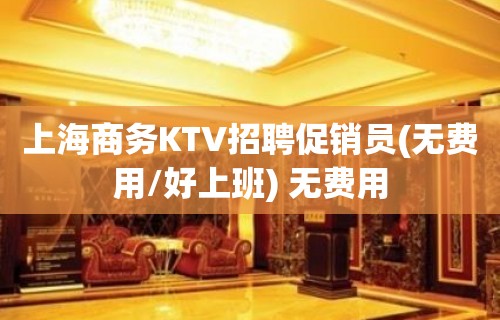 上海商务KTV招聘促销员(无费用/好上班) 无费用