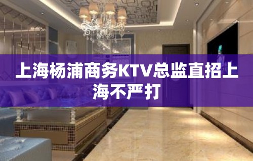 上海杨浦商务KTV总监直招上海不严打