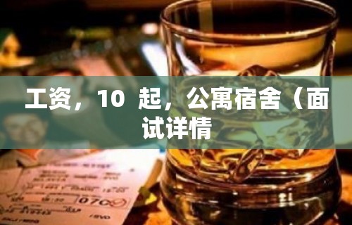 工资，10  起，公寓宿舍（面试详情