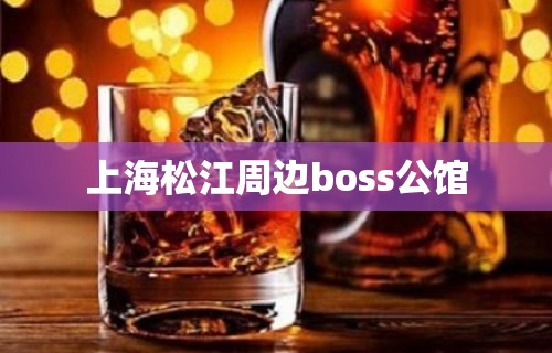 上海松江周边boss公馆