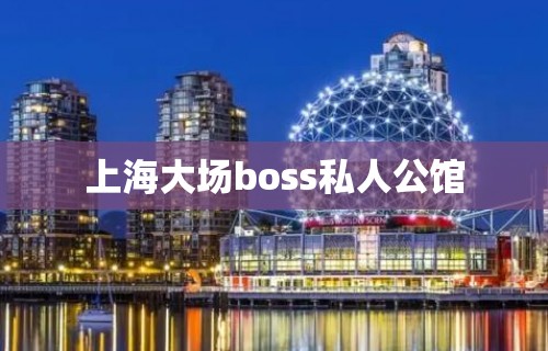 上海大场boss私人公馆