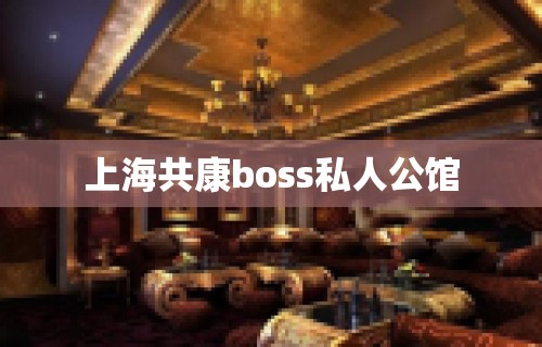 上海共康boss私人公馆