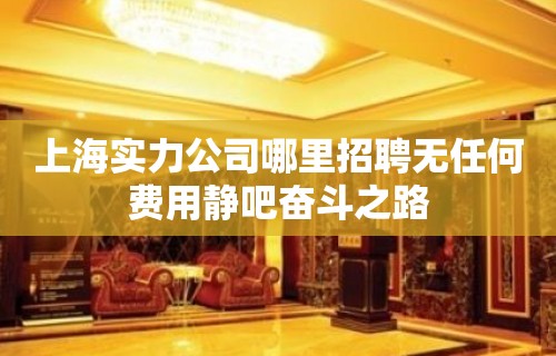 上海实力公司哪里招聘无任何费用静吧奋斗之路