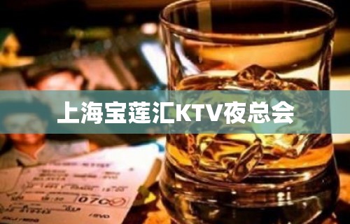 上海宝莲汇KTV夜总会