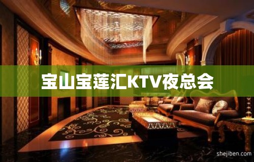 宝山宝莲汇KTV夜总会