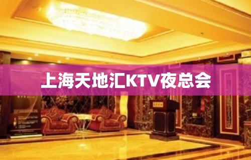 上海天地汇KTV夜总会