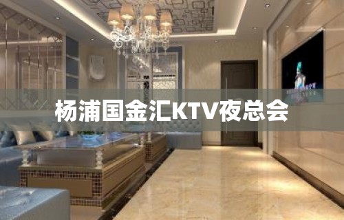 杨浦国金汇KTV夜总会