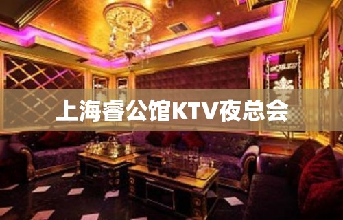 上海睿公馆KTV夜总会