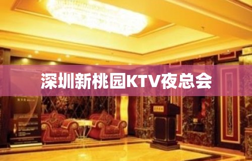 深圳新桃园KTV夜总会