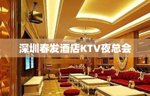 深圳春发酒店KTV夜总会