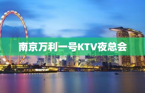 南京万利一号KTV夜总会