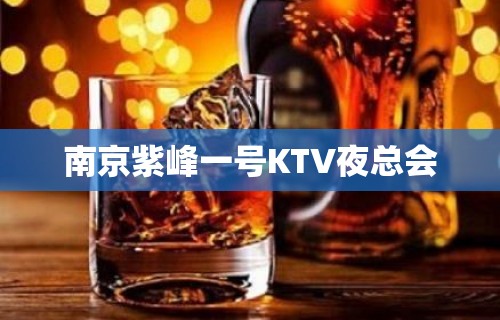 南京紫峰一号KTV夜总会