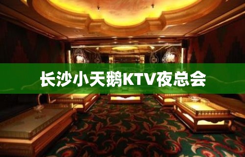 长沙小天鹅KTV夜总会