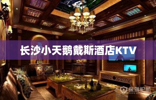 长沙小天鹅戴斯酒店KTV