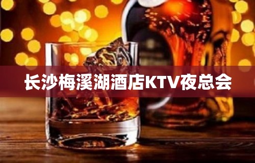 长沙梅溪湖酒店KTV夜总会