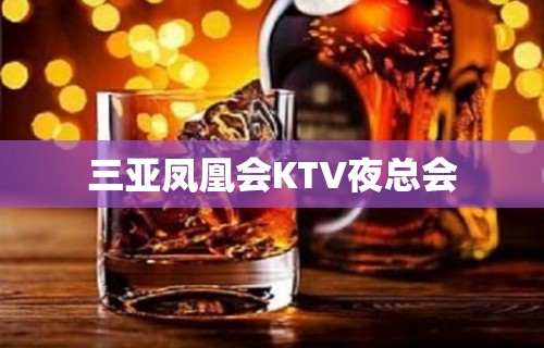 三亚凤凰会KTV夜总会