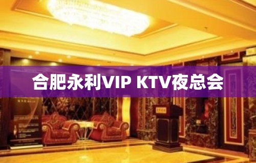 合肥永利VIP KTV夜总会