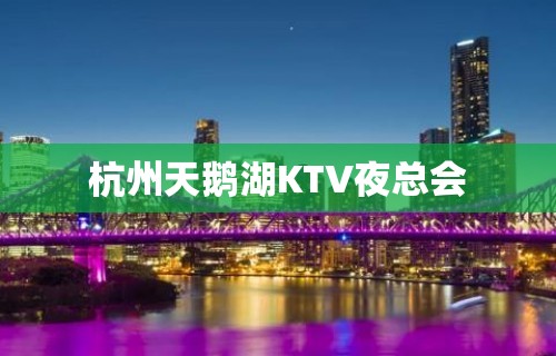 杭州天鹅湖KTV夜总会