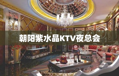 朝阳紫水晶KTV夜总会