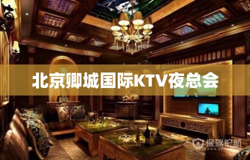 北京卿城国际KTV夜总会