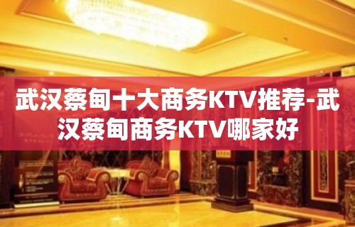 武汉蔡甸十大商务KTV推荐-武汉蔡甸商务KTV哪家好