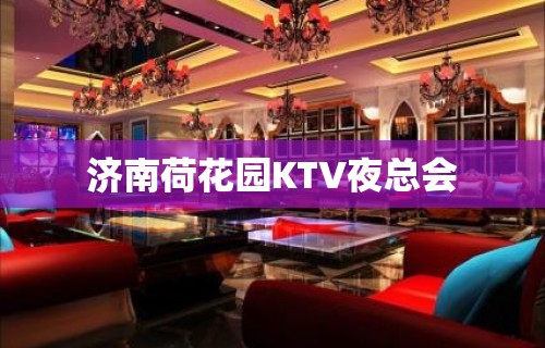 济南荷花园KTV夜总会