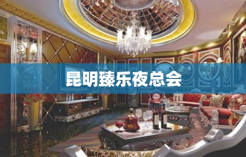 昆明臻乐夜总会