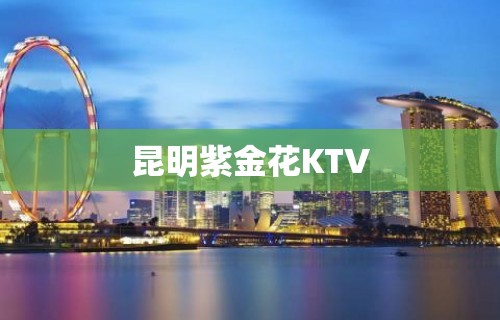 昆明紫金花KTV