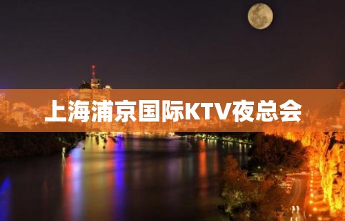 上海浦京国际KTV夜总会