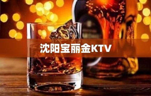 沈阳宝丽金KTV