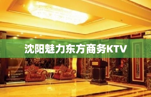 沈阳魅力东方商务KTV