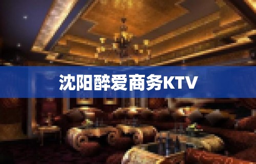 沈阳醉爱商务KTV