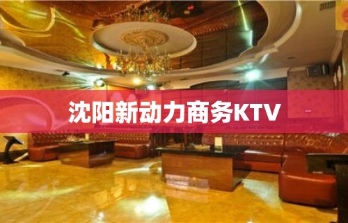 沈阳新动力商务KTV