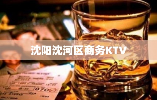 沈阳沈河区商务KTV