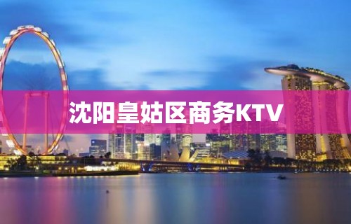 沈阳皇姑区商务KTV