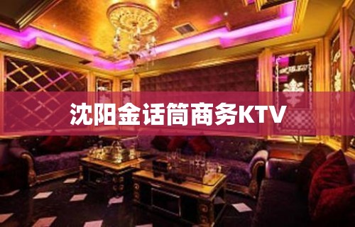 沈阳金话筒商务KTV