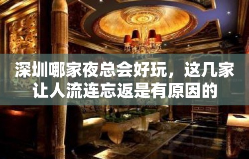 深圳哪家夜总会好玩，这几家让人流连忘返是有原因的