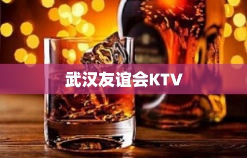 武汉友谊会KTV