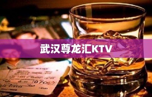 武汉尊龙汇KTV