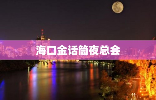 海口金话筒夜总会